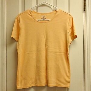 🩷COVINGTON Short Sleeved Basic Pullover Blouse Size XL 18